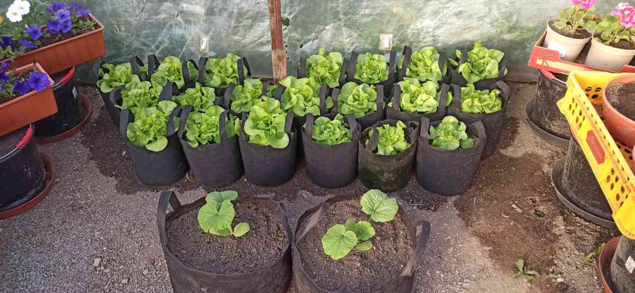 Moon River textilní květináč černý objem 5 l - foto 3