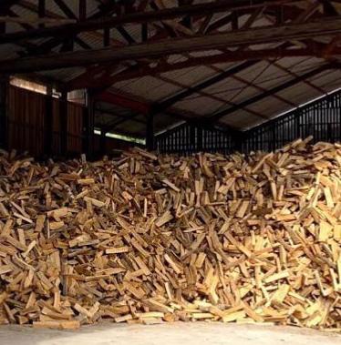 suché palivové dříví - foto 5