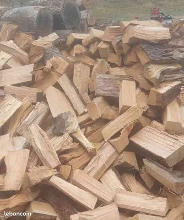 suché palivové dříví - foto 4