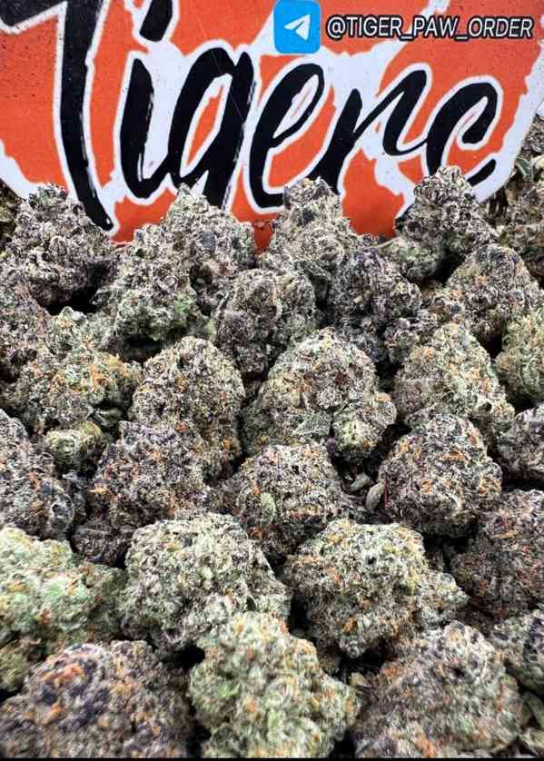 whatsapp +49 163 0221373 Buy Marijuana  berlin germany - foto 1