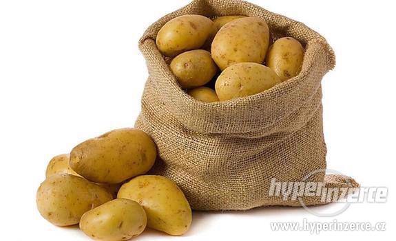 konzumní brambory - foto 1