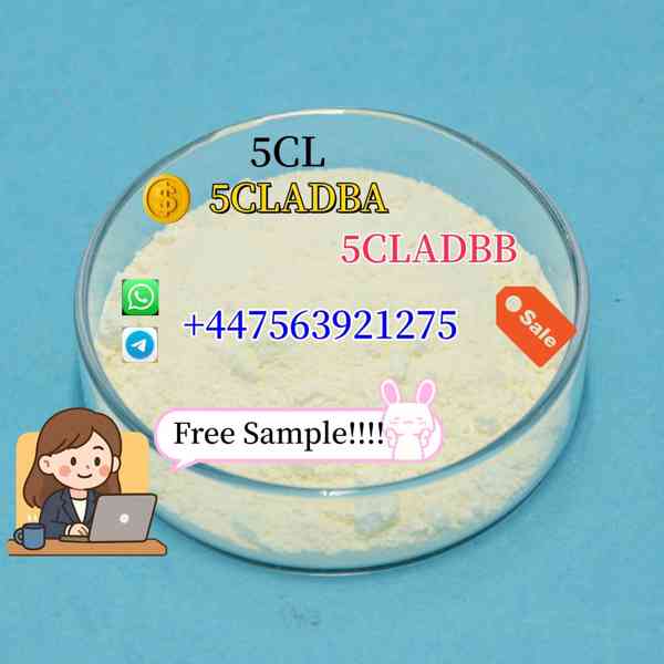 Door to Door 5CL WA/Tele:+447563921275 - foto 2