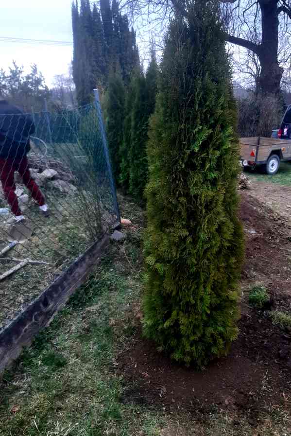 Realizace údržby návrhy zahrad  - foto 2
