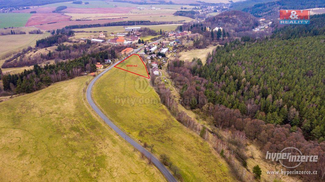 Prodej, stavební pozemek, 6000 m2, Hrad Nečtiny, Plzeň-sever - foto 1