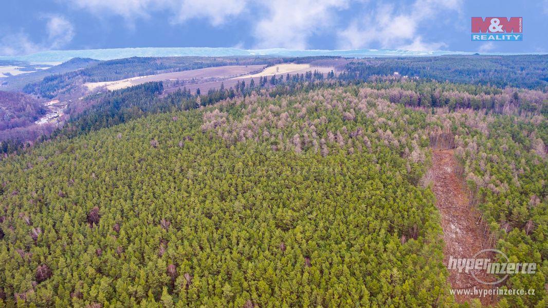 Prodej, stavební pozemek, 6000 m2, Hrad Nečtiny, Plzeň-sever - foto 5