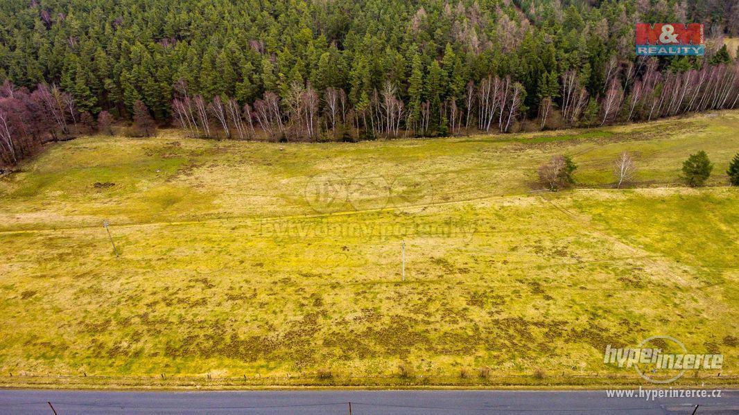 Prodej, stavební pozemek, 6000 m2, Hrad Nečtiny, Plzeň-sever - foto 8