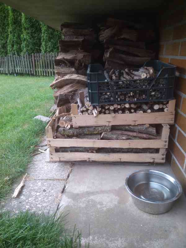 ořech-palivové dřevo - foto 2