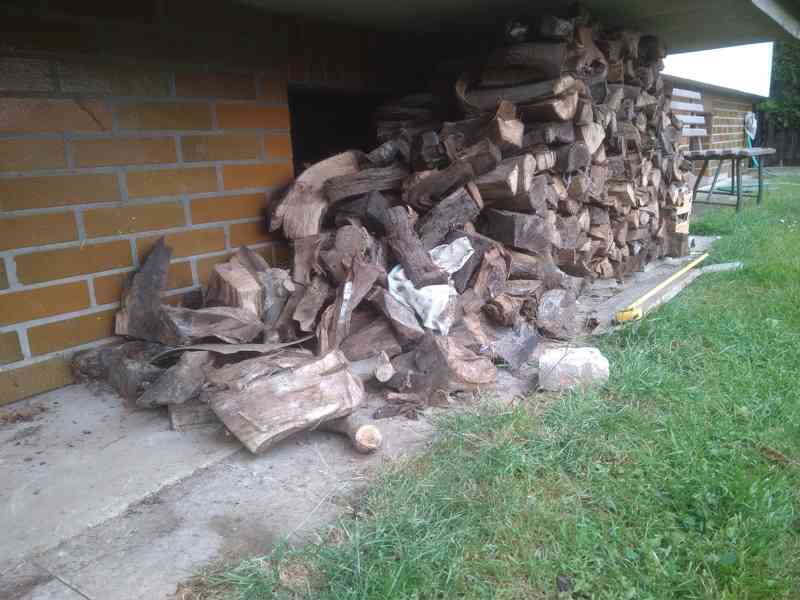 ořech-palivové dřevo - foto 3