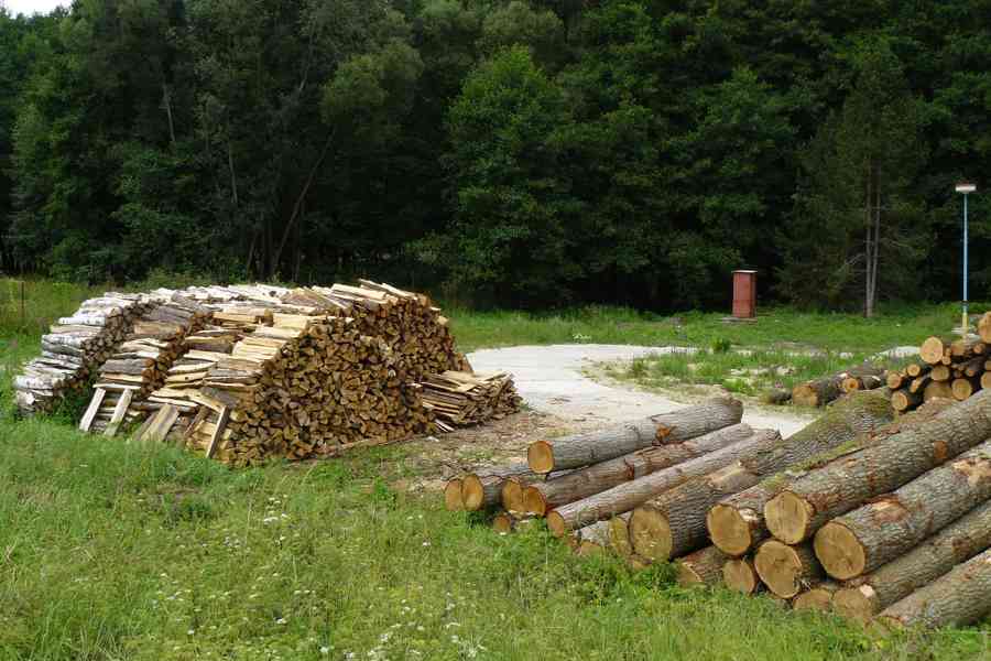 Dřevo - foto 1