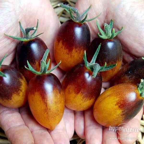 Rajče Indigo Kumquat - semena - foto 1