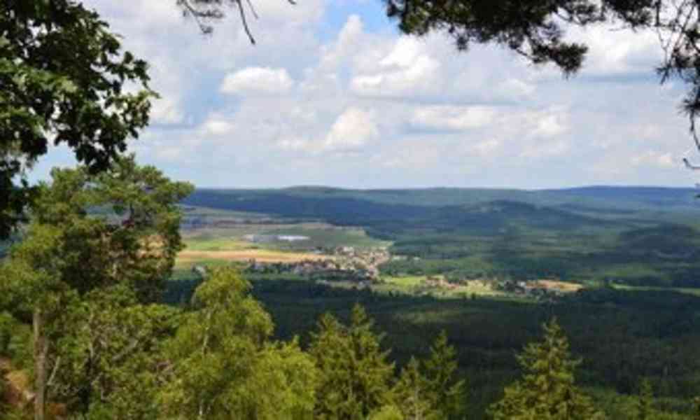 Pronájem části zahrady – Rokycany, ulice Čelakovského - foto 8