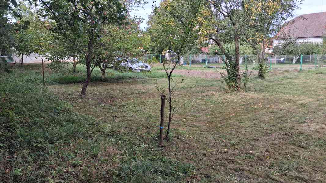 Pronájem části zahrady – Rokycany, ulice Čelakovského - foto 3