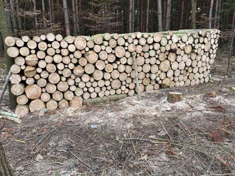 Měkké palivové dřevo - foto 1