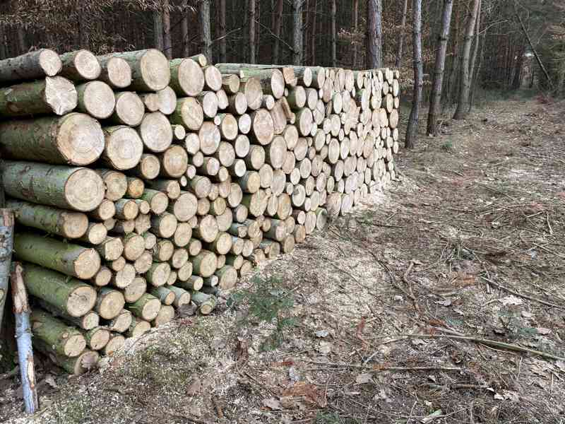 Měkké palivové dřevo - foto 3