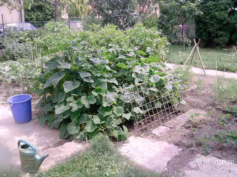 mříže na pěstování zeleniny - foto 4