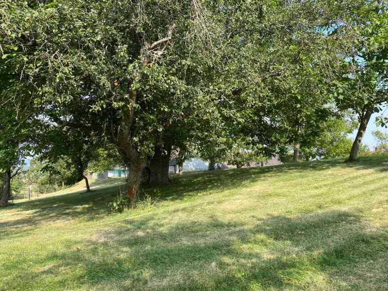 Prodej pozemku • 3359 m² bez realitky - foto 3