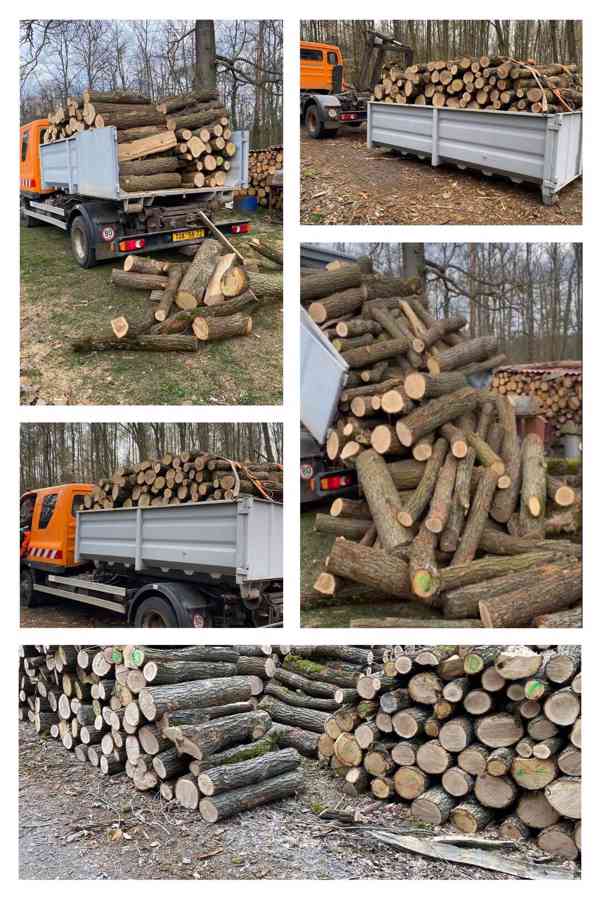 Palivové dřevo dub v metrech - foto 1