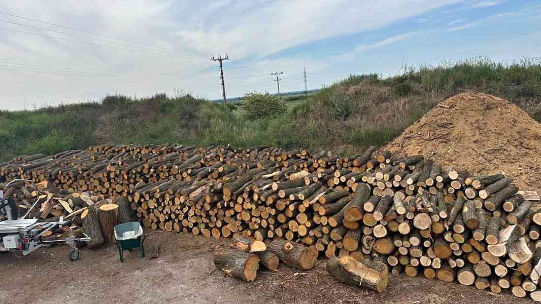 AKCE! Palivové dřevo tvrdé v metrech - foto 4