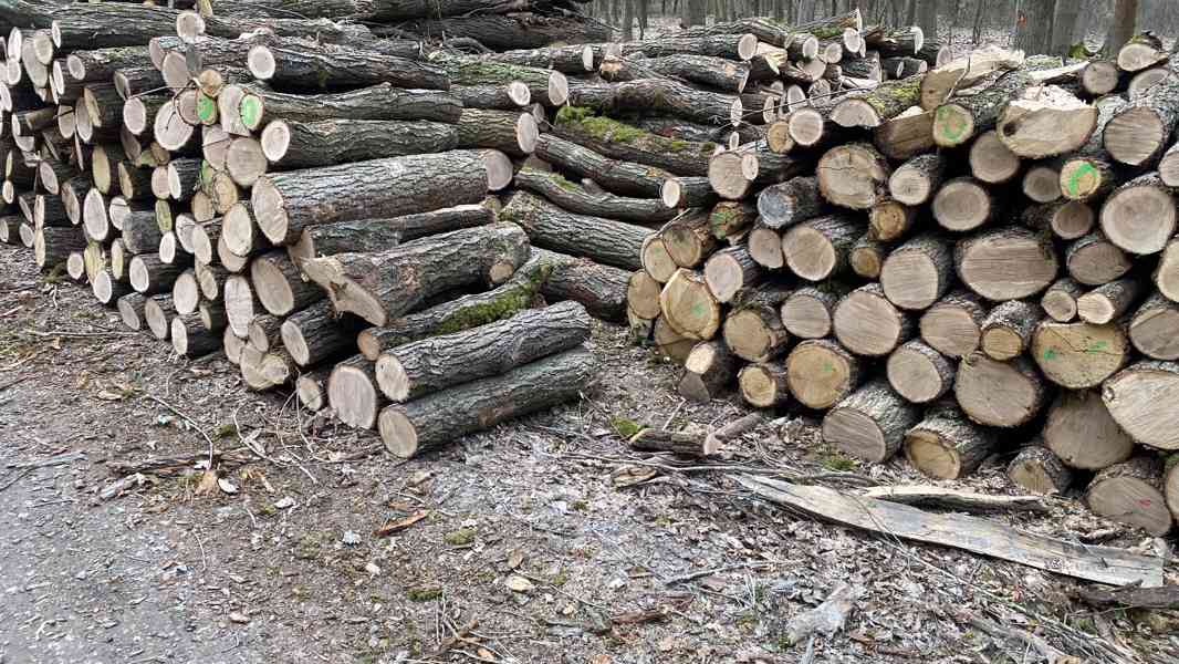 Palivové dřevo dub v metrech - foto 7