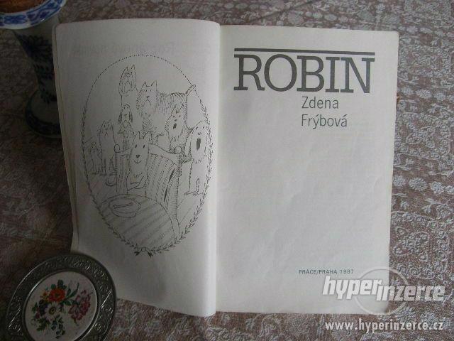 Robin - román - foto 2