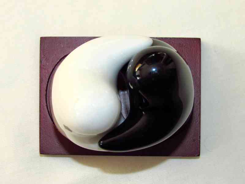 Solnička / pepřenka Jin-Jang - foto 2