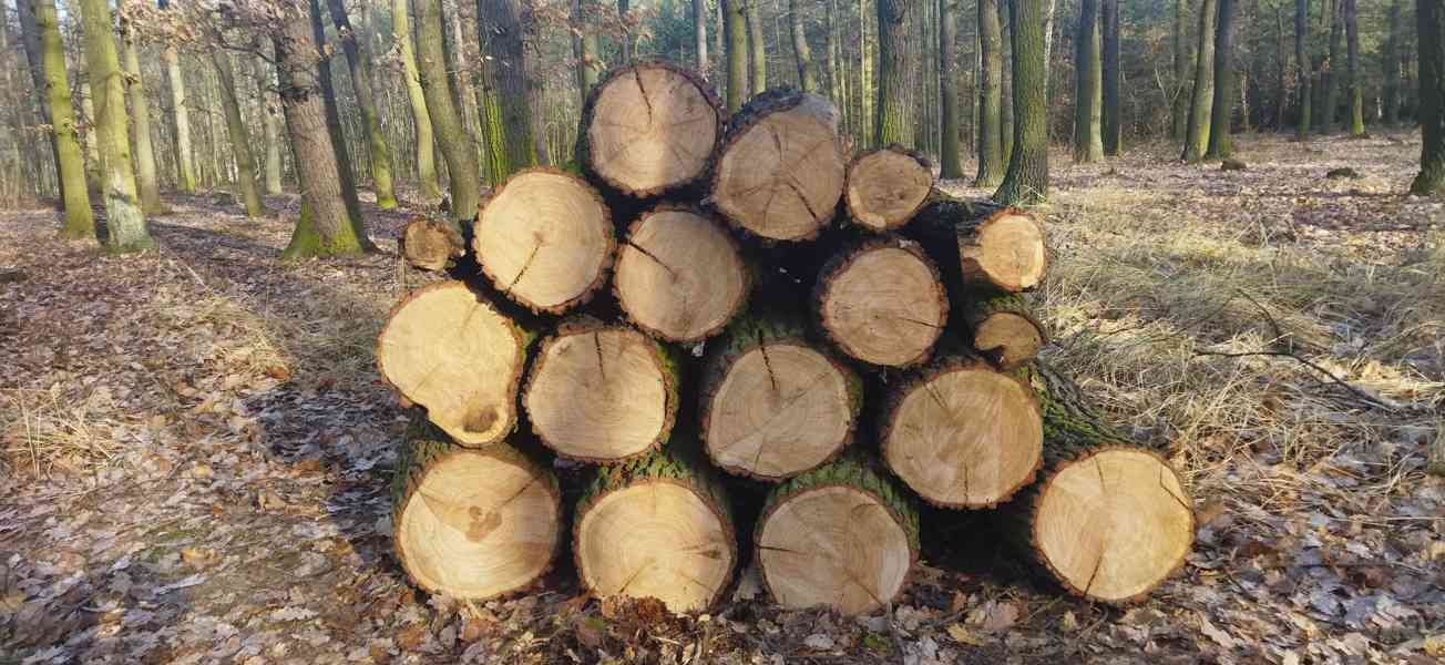 Levné palivové dřevo  - foto 1