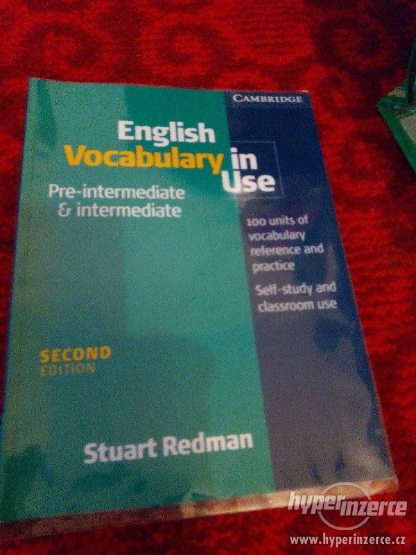 Učebnice English vocabulary in use - foto 1
