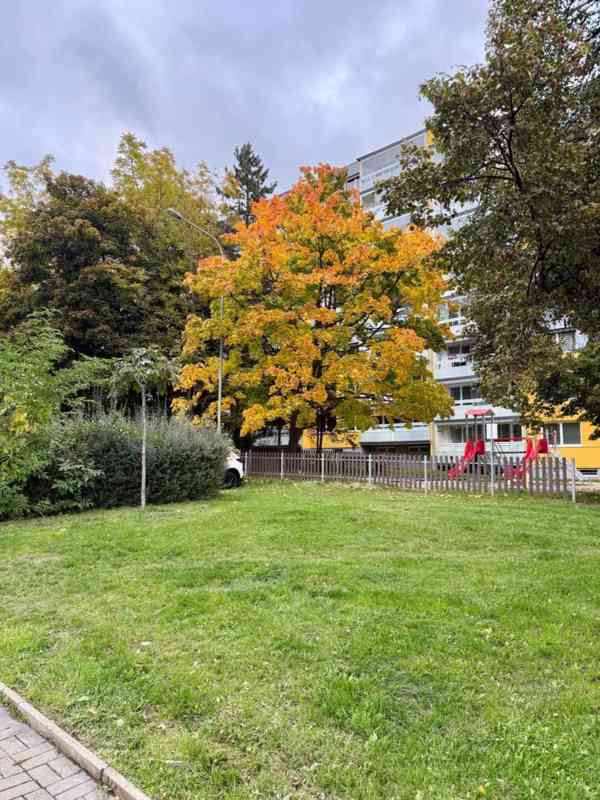 Prodej bytu 3+1 v OV v ulici Višňová - foto 14