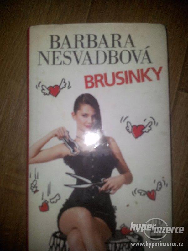 Barbara Nesvadbova - Brusinky - foto 1