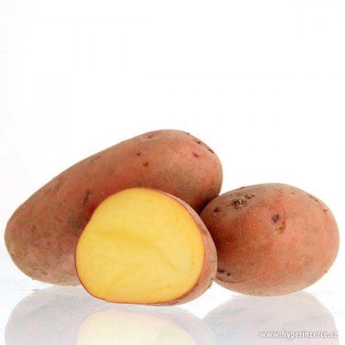 Kvalitní moravské sadbové brambory za 15,- - foto 3