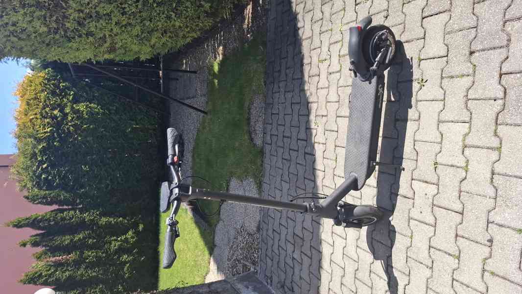 Elektrická koloběžka W-TEC Lambreto Max II 700W 10"