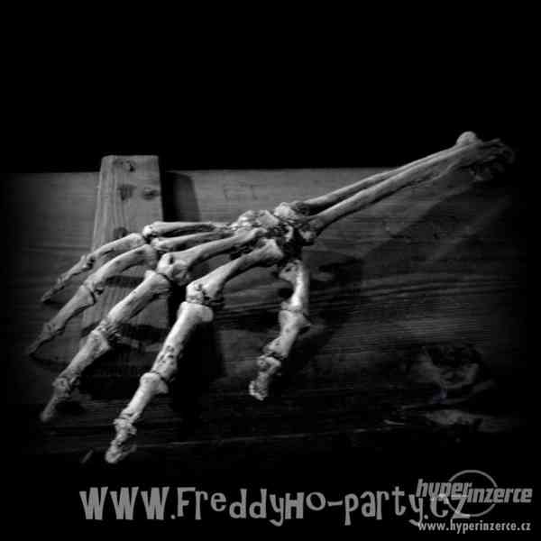 Repliky lidských lebek, kostí i celé kostry - foto 11