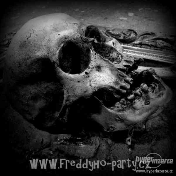 Repliky lidských lebek, kostí i celé kostry - foto 14