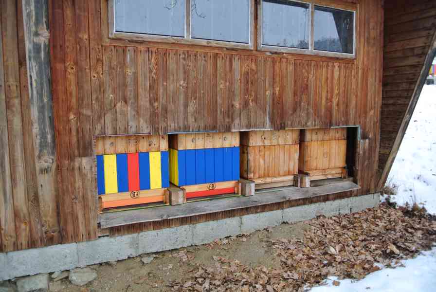 Med, Propolis, Perga pyl - foto 5