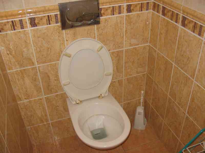 Prodám větší byt 1+1 v Mladé Boleslavi / plocha 54m2 / - foto 5