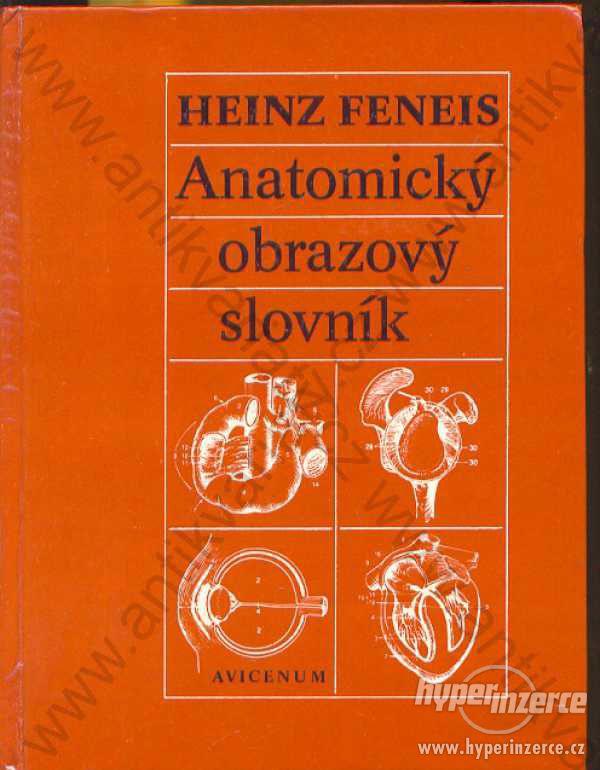 Anatomický obrazový slovník Heinz Feneis - foto 1