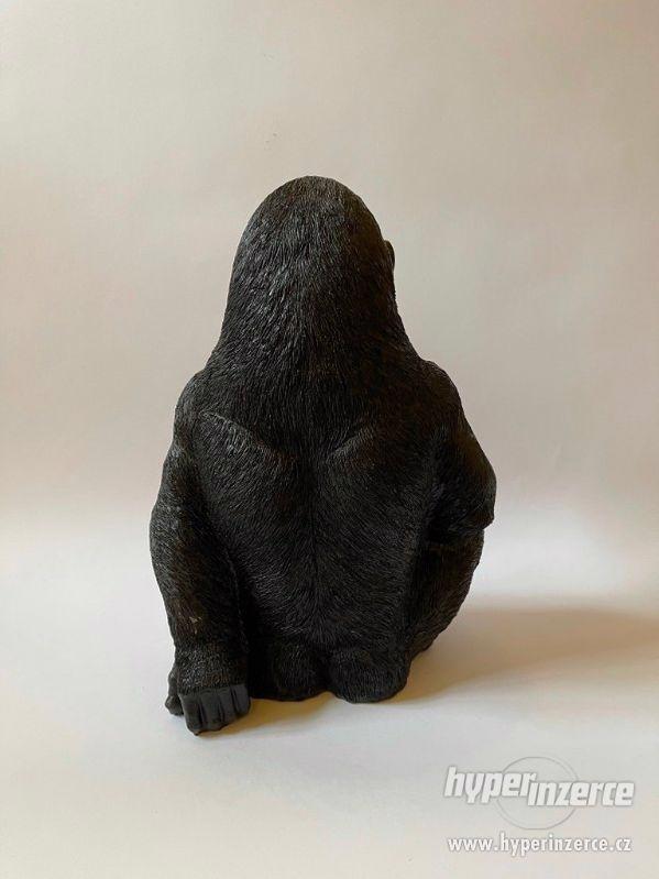 Černá gorila - foto 3