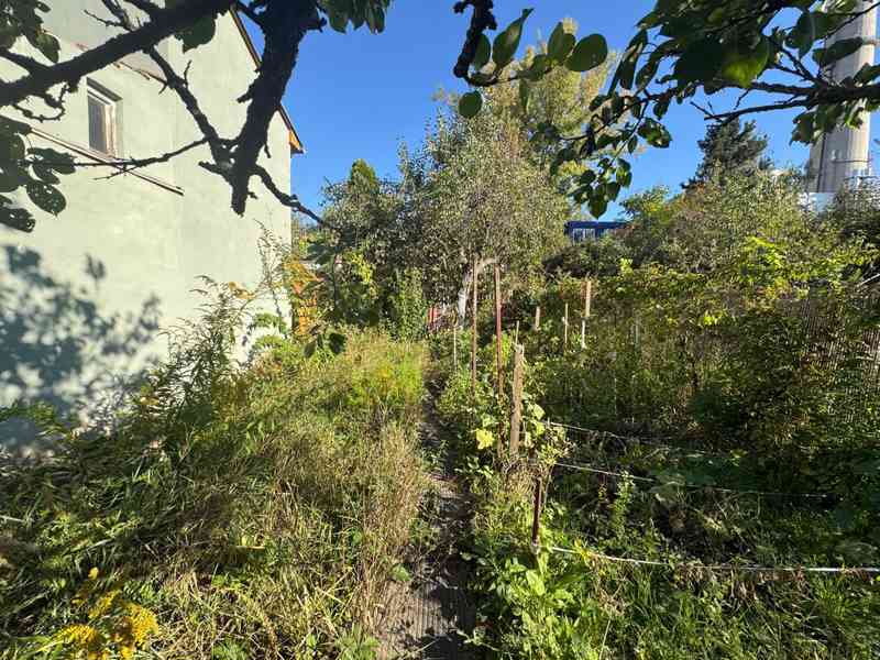 PRODEJ RD SE DVĚMA BYTOVÝMI JEDNOTKAMI V BRNĚ–MALOMĚŘICÍCH  - foto 15