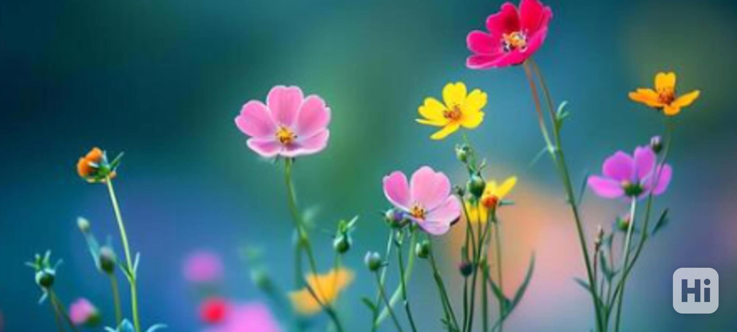 rgtdhtfbfcgnbfgcncgnfgc - foto 1