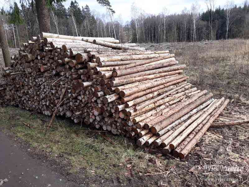 Palivové dřevo- lesovůz - foto 3