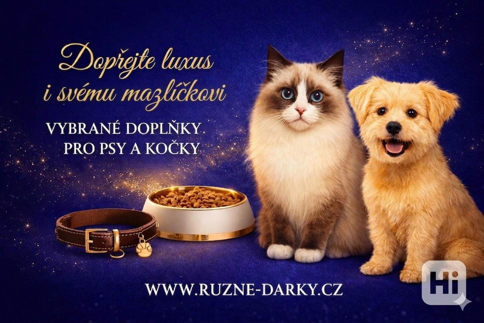 Dárky pro domácí mazlíčky  - foto 1