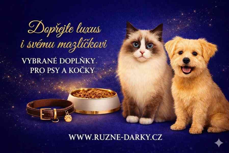 Dárky pro domácí mazlíčky 