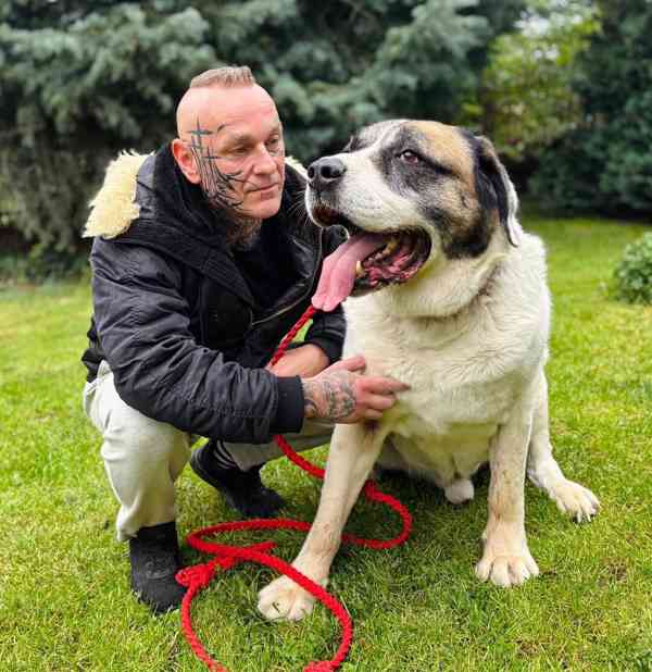 DAG - SAO 74 kg, kastrovaný psík 8 let  - foto 9