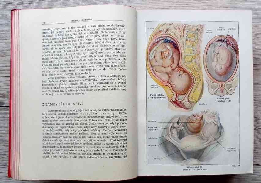 Nový lékařský rádce, starožitná lékařská kniha - foto 14