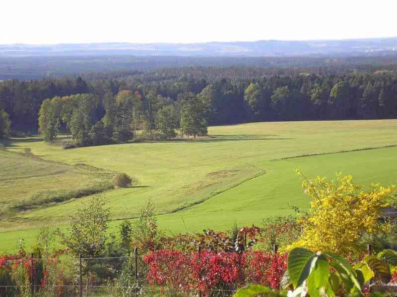 Stavební rekreační pozemek v Krtově - foto 4