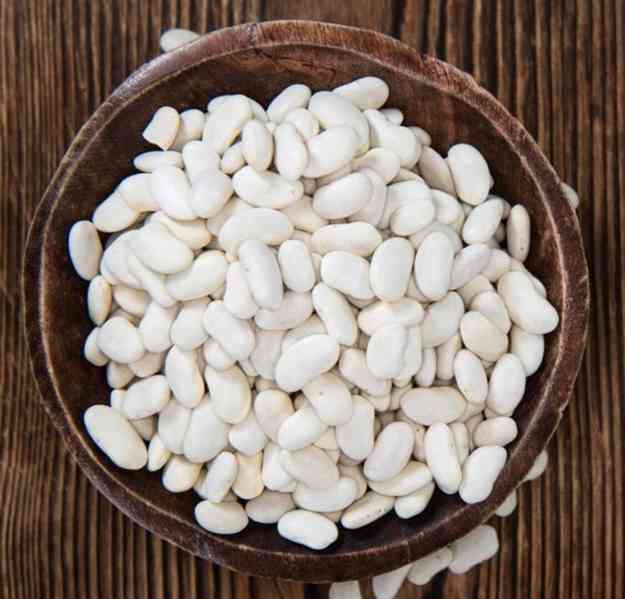 semena fazol keříčkový Kontra na suchá semena - foto 1