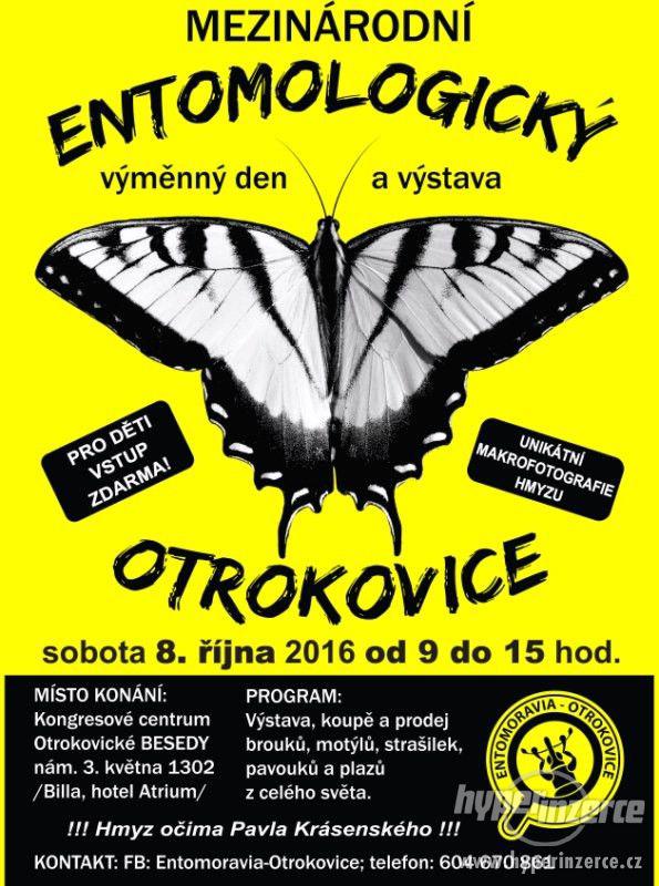 Entomologická burza Otrokovice 8.10.2016 - foto 1