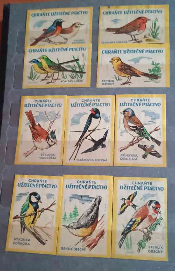 Album samolepek ze zápalek  - foto 10