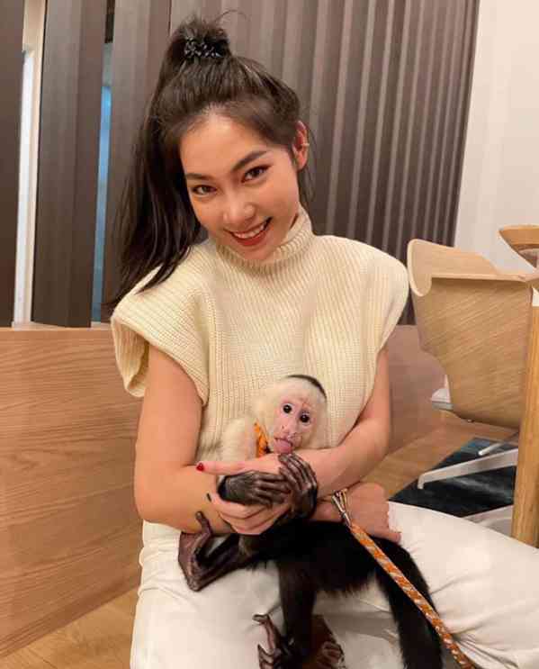 Zdarma Dítě kapucínské opice k adopci nyní zdarma  - foto 3