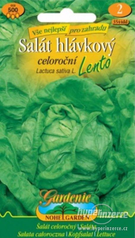 Salát hlávkový, Lento (semena)  www.rostliny-prozdravi.cz - foto 1